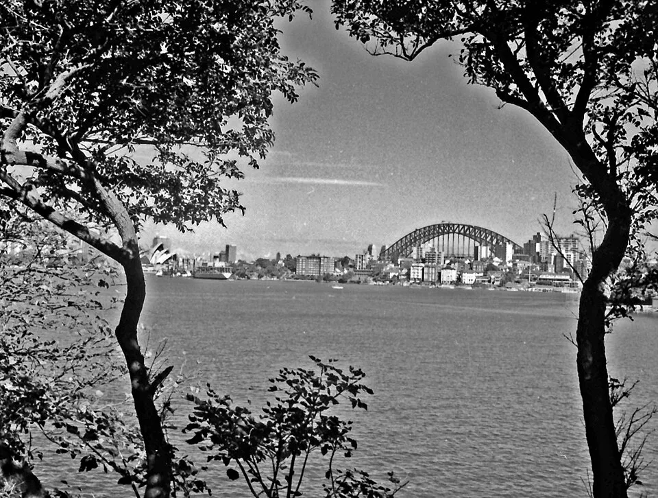 Harbour view from Cremorne Point in Sydney