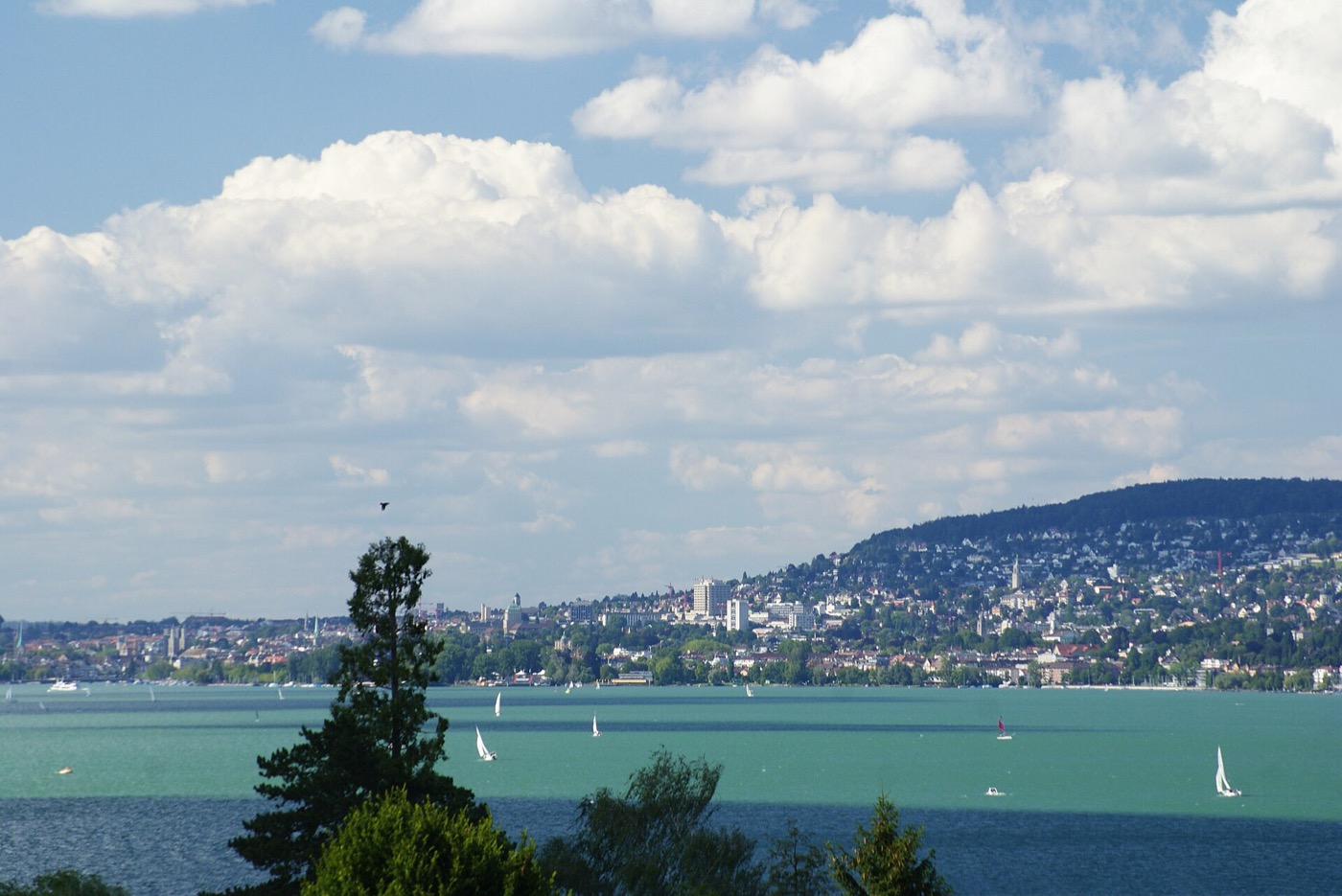 Lake Zurich view with the Grossmunster towers visible